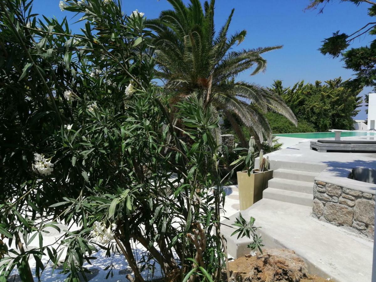 Geranium Residence Adults Only Mykonos Town חדר תמונה